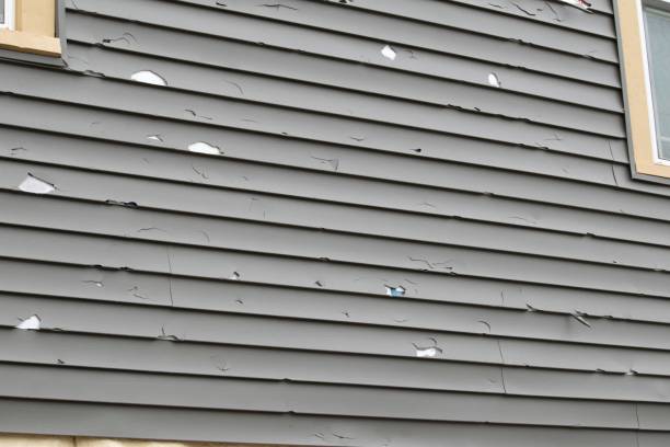 Best Attic Cleanout  in South Gull Lake, MI
